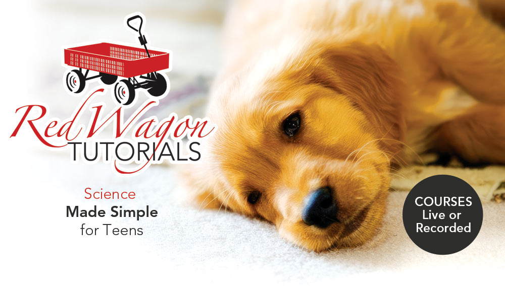 Red Wagon Tutorials, science made simple for teens. Courses available live-feed or downloadble online.